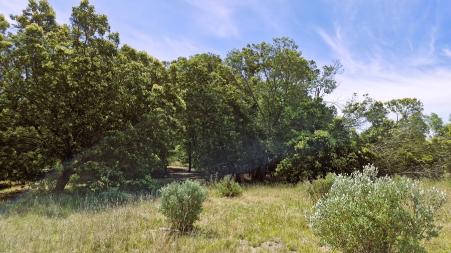 Commercial Property for Sale in Napier Western Cape